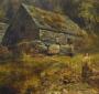 1800635-alb-6a67a8777c553.jpg