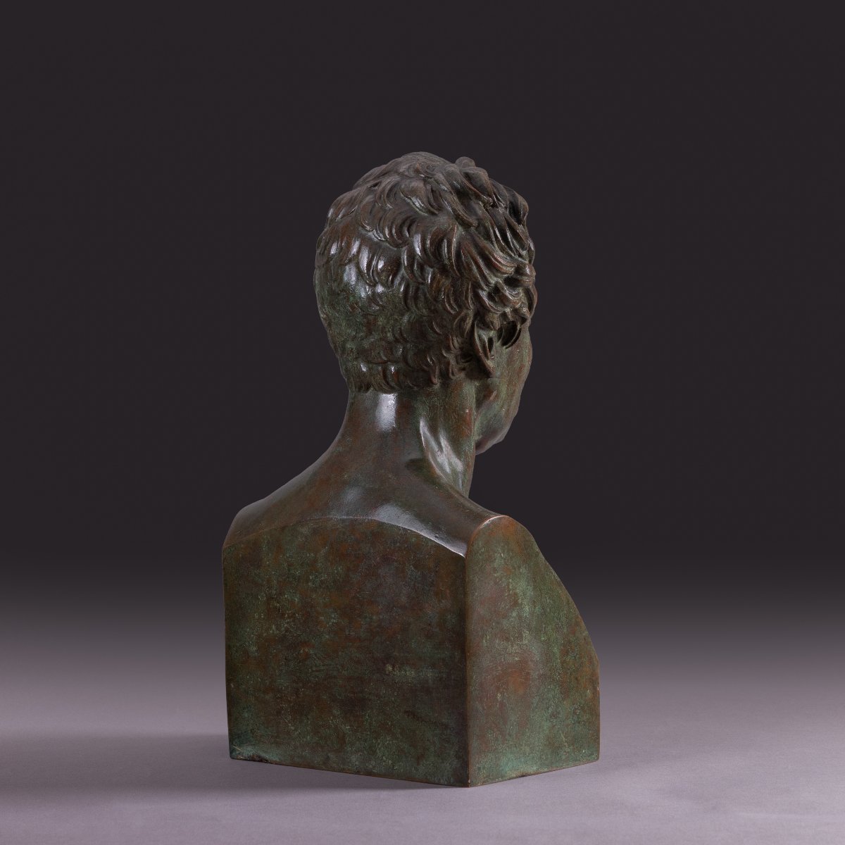 Library Bust Depicting André Marie Ampère - Patinated Bronze-photo-2