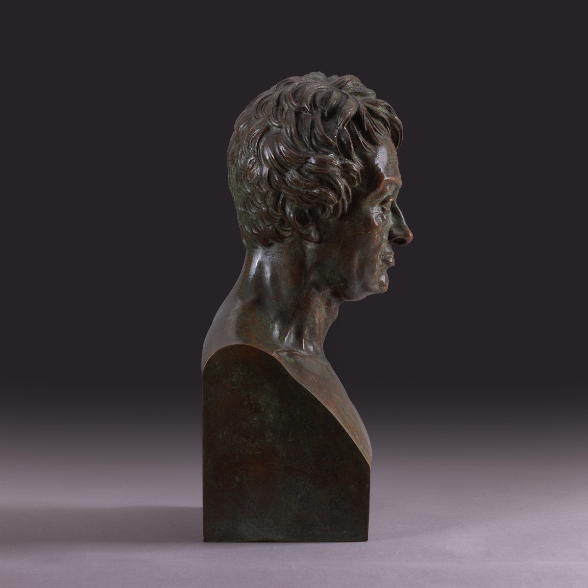 Library Bust Depicting André Marie Ampère - Patinated Bronze-photo-3