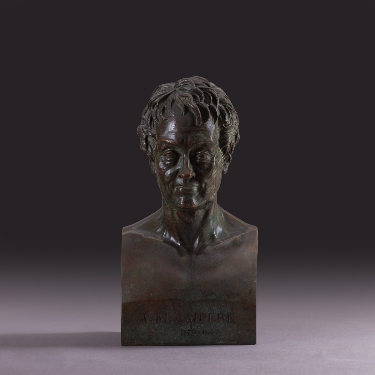Library Bust Depicting André Marie Ampère - Patinated Bronze-photo-4