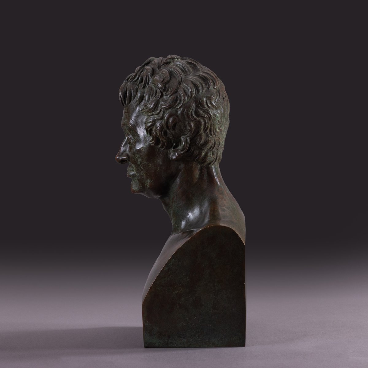 Library Bust Depicting André Marie Ampère - Patinated Bronze-photo-2