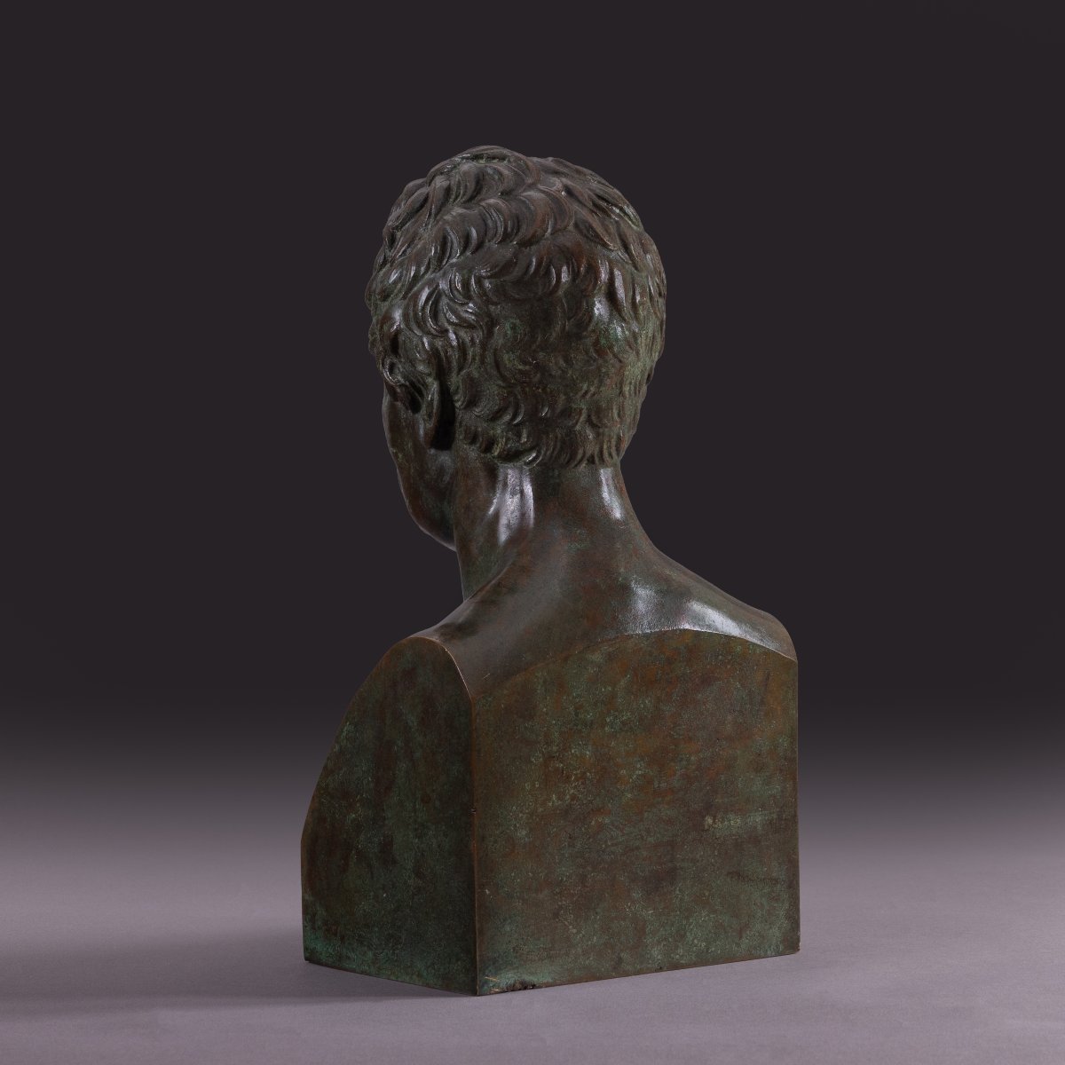 Library Bust Depicting André Marie Ampère - Patinated Bronze-photo-3