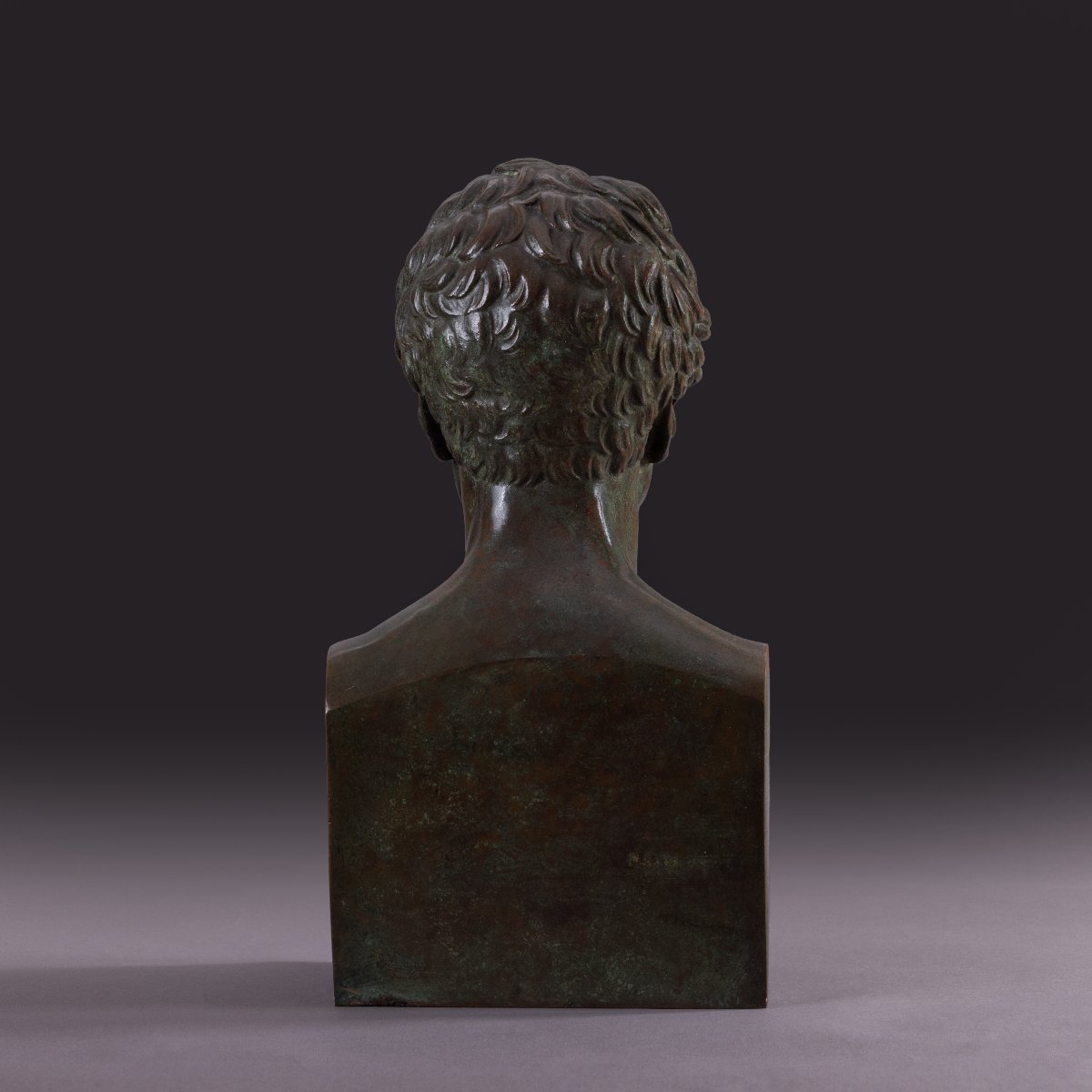 Library Bust Depicting André Marie Ampère - Patinated Bronze-photo-4