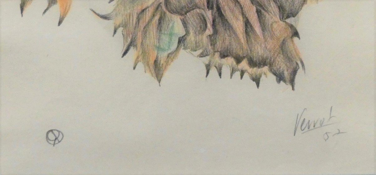 René Perrot - Leaf - Colored Pencil Drawing-photo-2