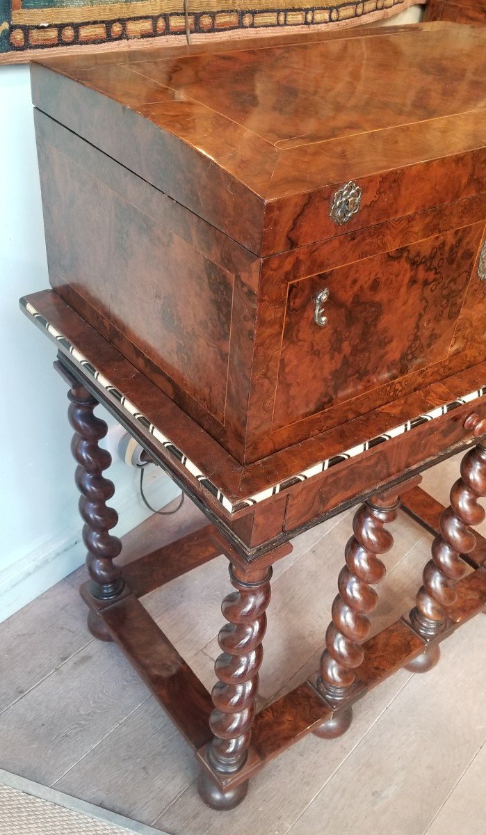 Chest And Its Base | Tinted Bone Thuya Burl | Walnut | XVII-photo-2