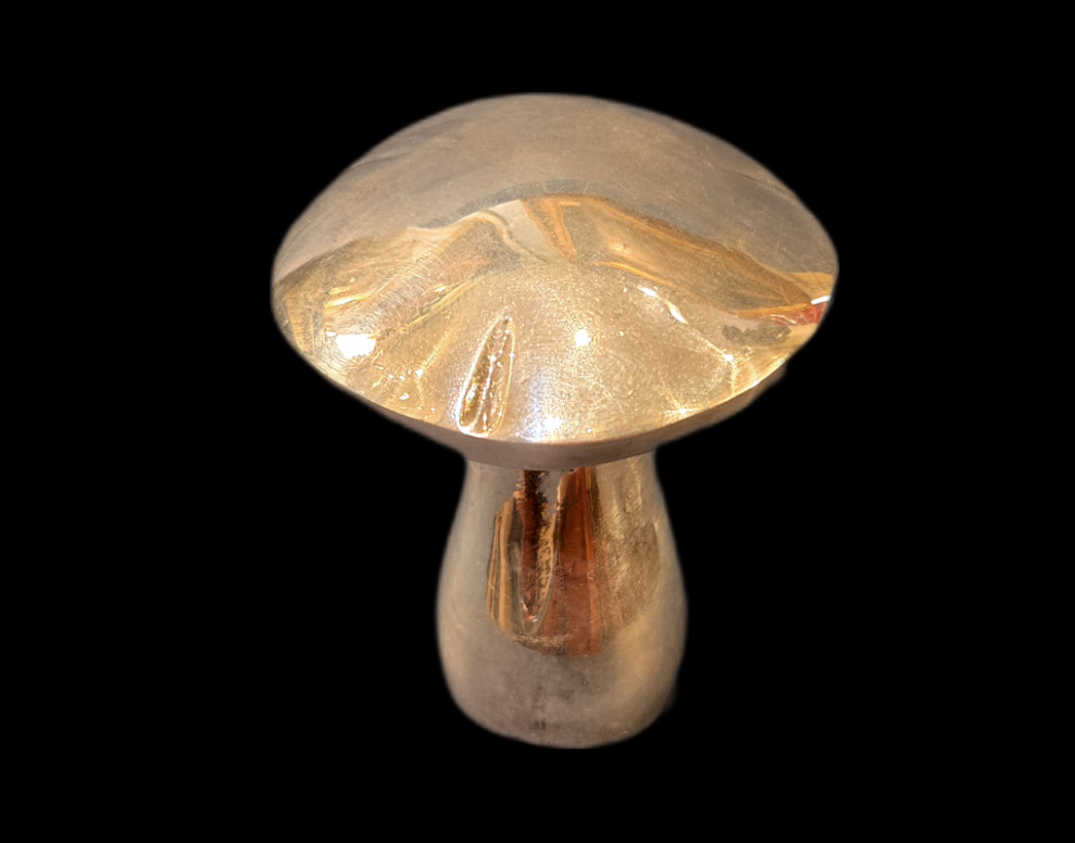 Tire-bouchon Champignon-photo-3