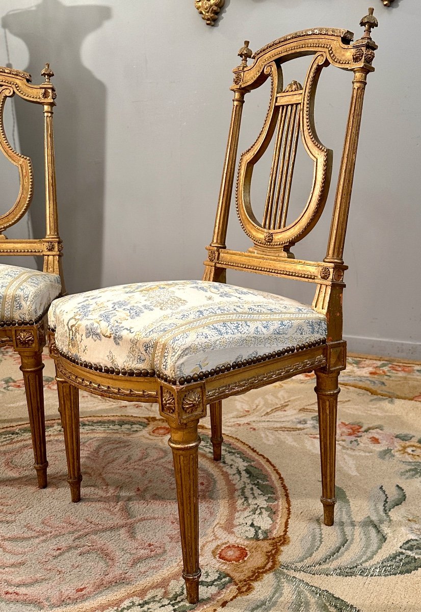Paire De Chaises Lyre En Bois Doré De Style Louis XVI Epoque XIXème-photo-4
