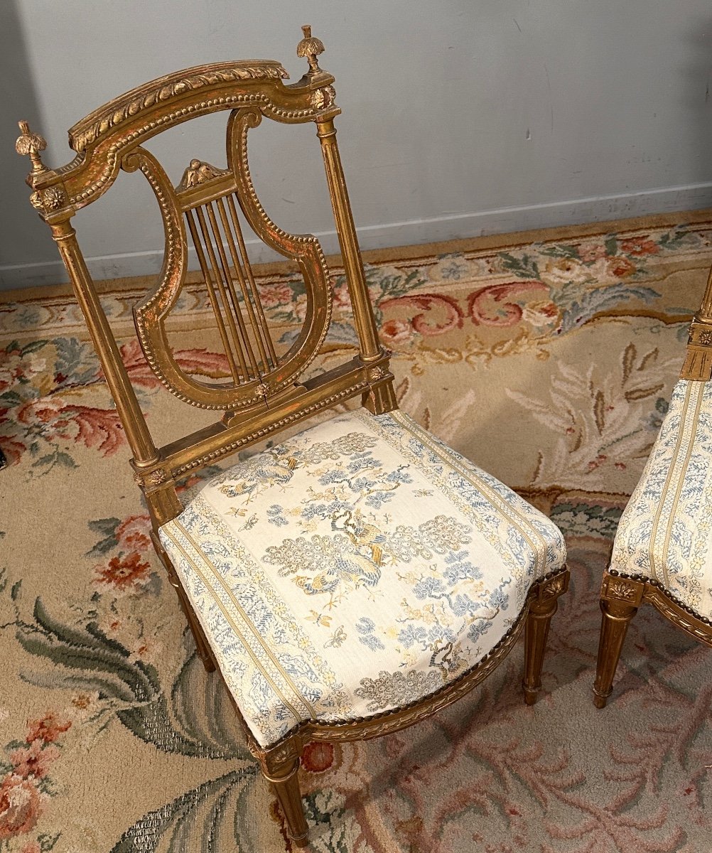 Paire De Chaises Lyre En Bois Doré De Style Louis XVI Epoque XIXème-photo-2