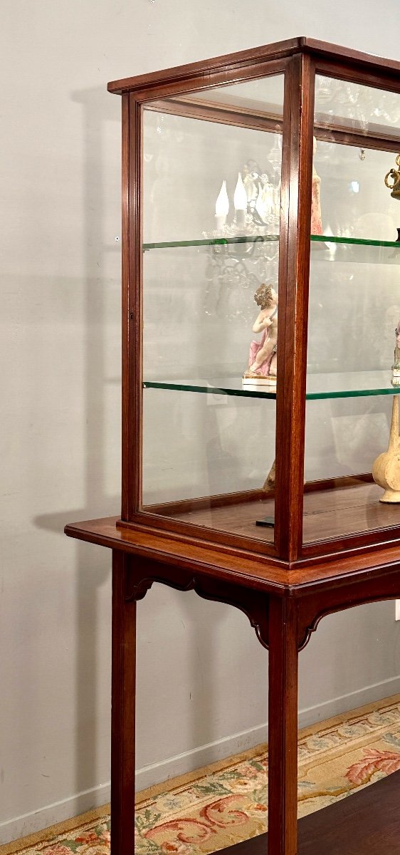 Rare Collector Museum Exhibition Showcase In Mahogany Art Nouveau Period Circa 1890-photo-8
