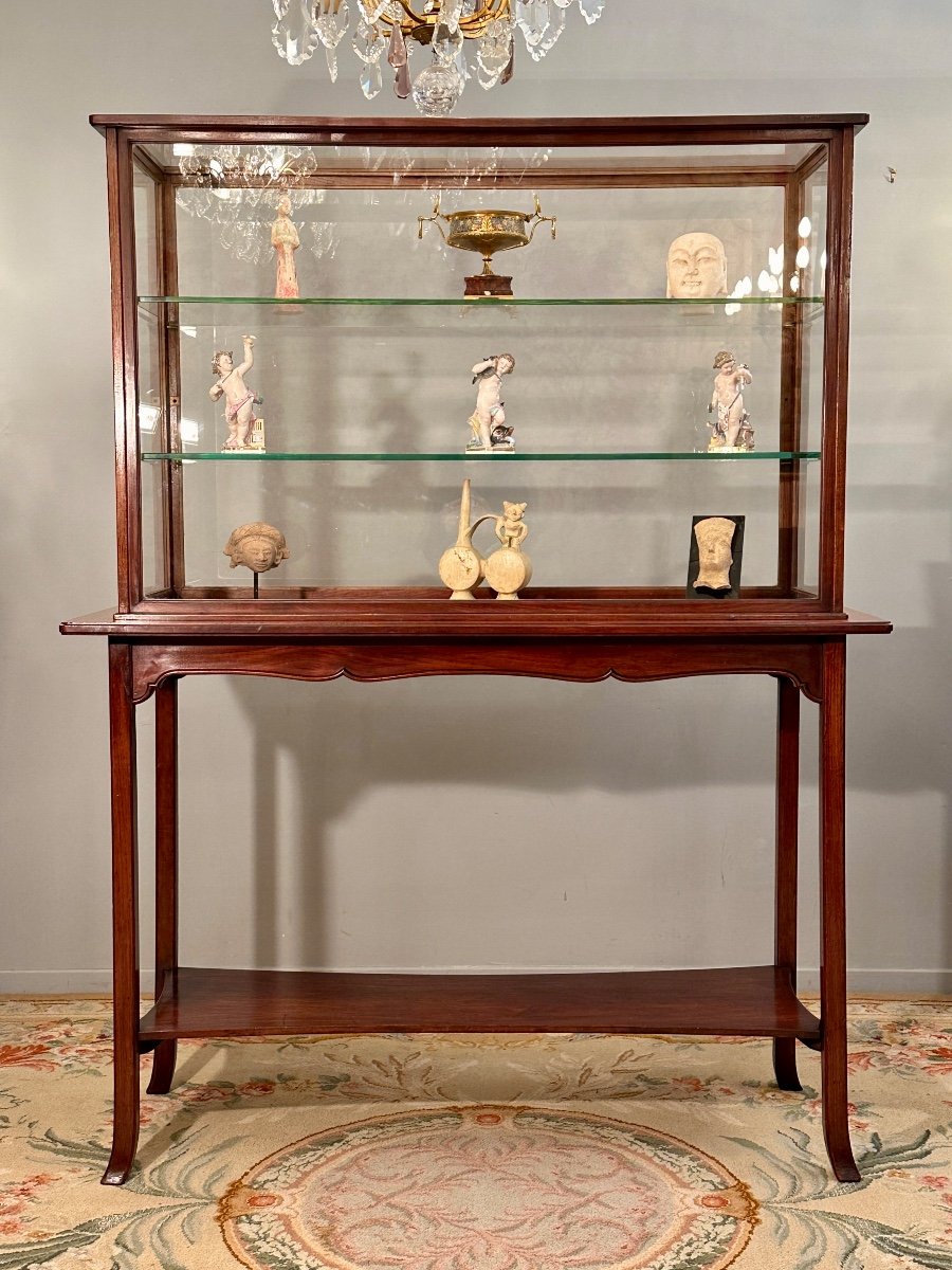 Rare Collector Museum Exhibition Showcase In Mahogany Art Nouveau Period Circa 1890