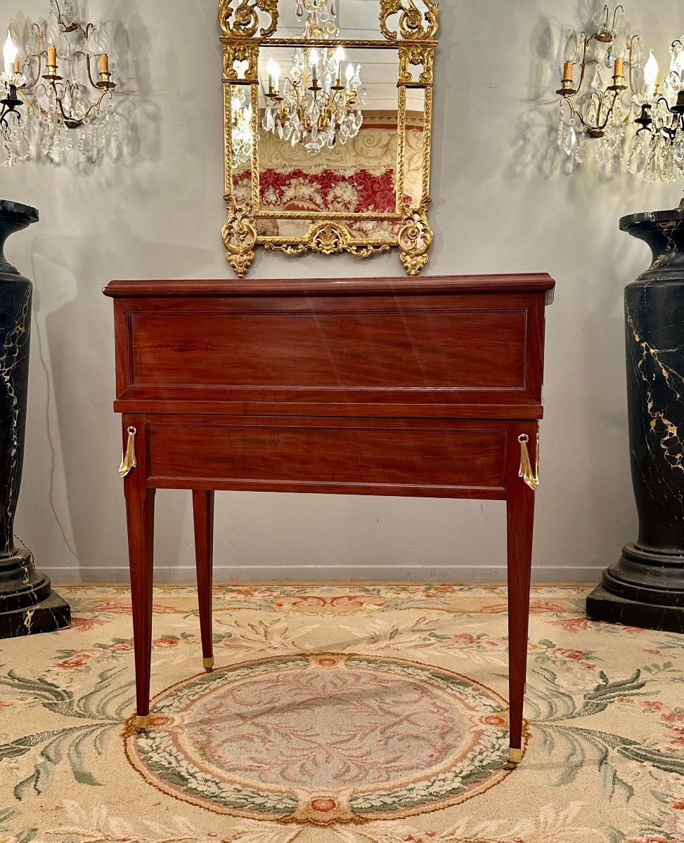 Pierre Garnier, Stamped Mahogany Cabinet From Louis XVI Period Circa 1770-photo-7
