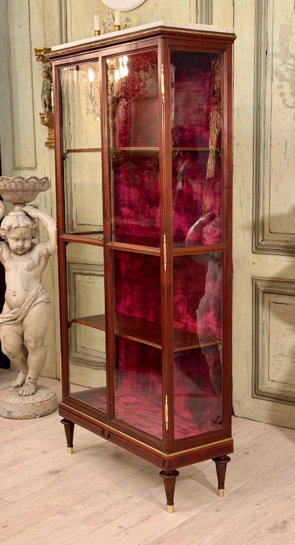 Vitrine de Présentation en Acajou de Style Louis XVI, XIXème Siècle-photo-1