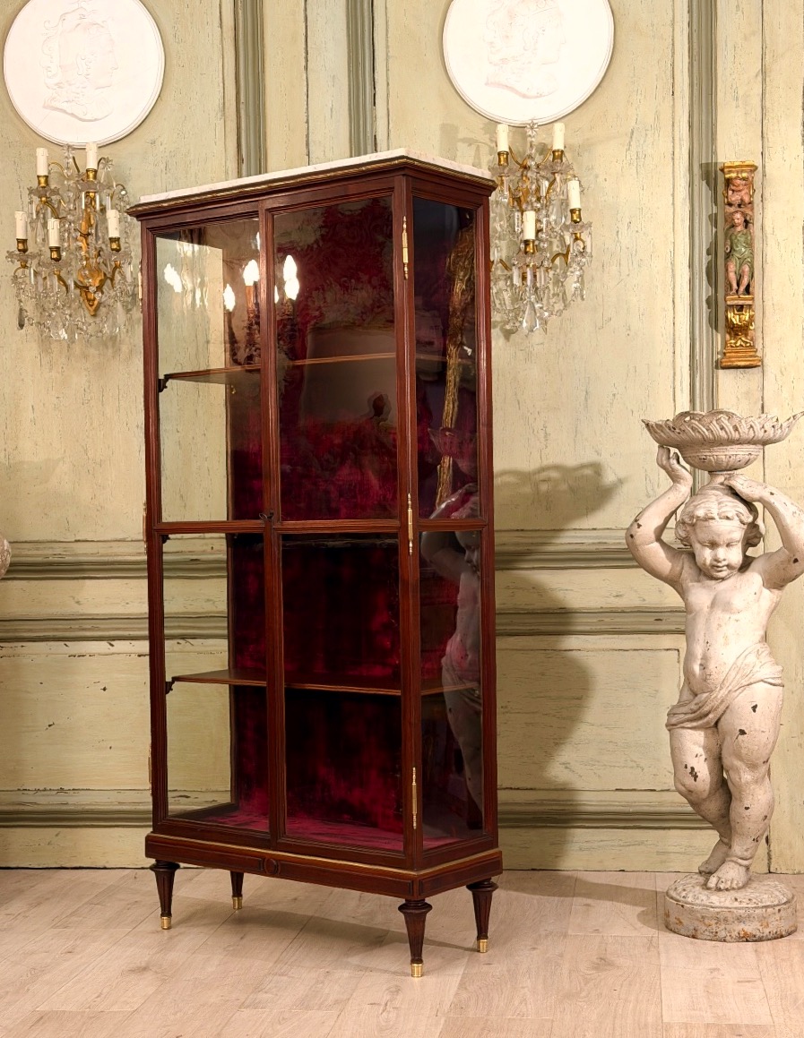 Vitrine de Présentation en Acajou de Style Louis XVI, XIXème Siècle-photo-2