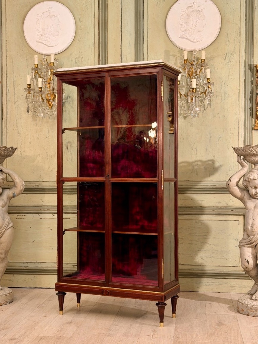 Vitrine de Présentation en Acajou de Style Louis XVI, XIXème Siècle