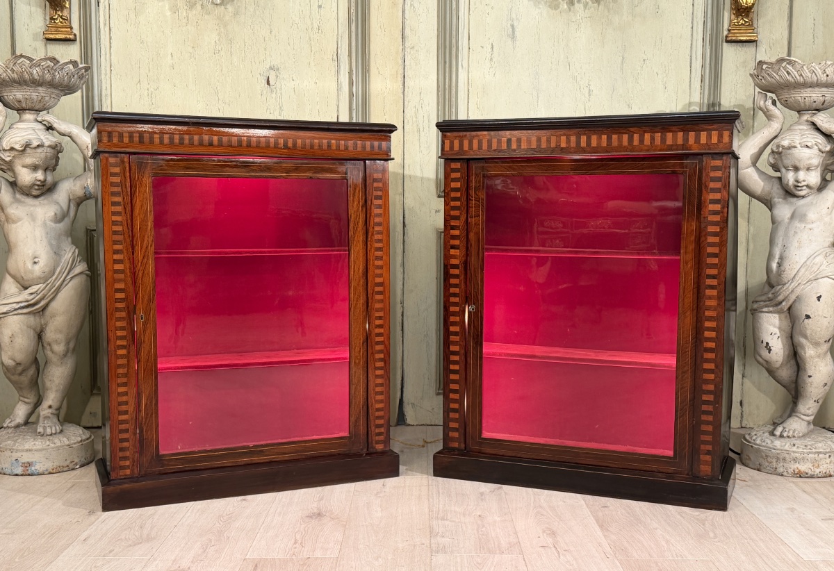Paire de Vitrines de Collectionneur en Palissandre, Epoque Napoléon III-photo-2