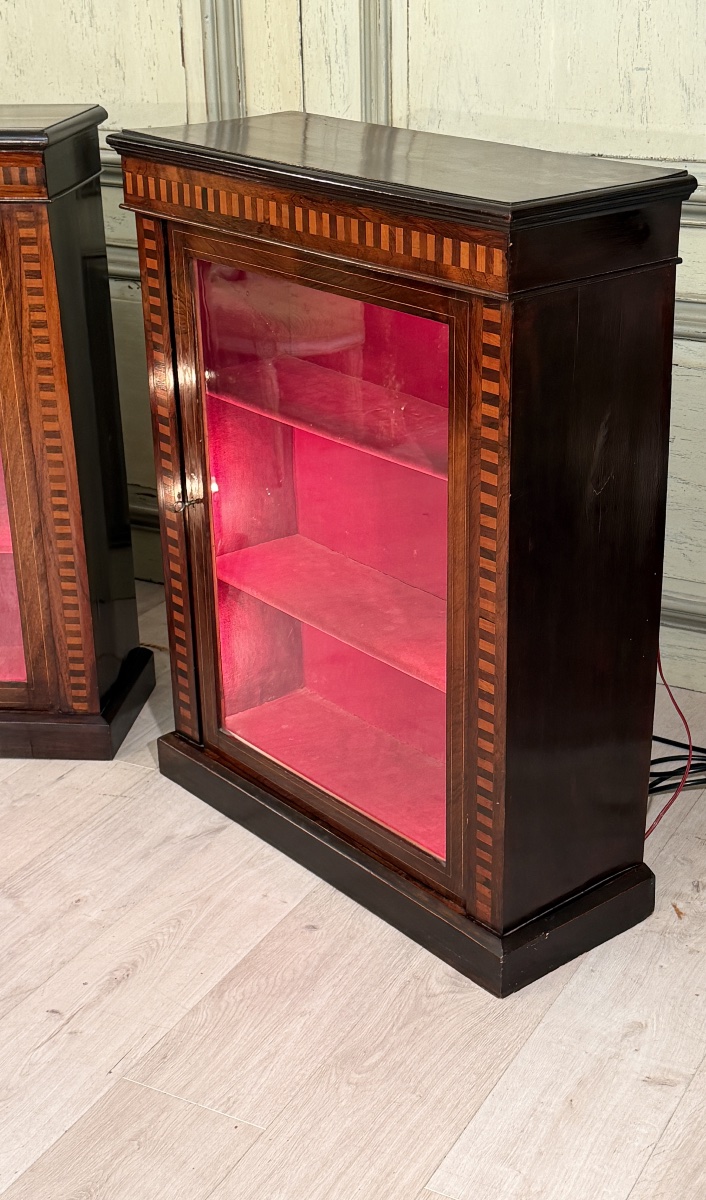 Paire de Vitrines de Collectionneur en Palissandre, Epoque Napoléon III-photo-4