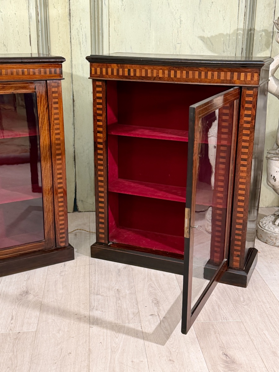 Paire de Vitrines de Collectionneur en Palissandre, Epoque Napoléon III-photo-7