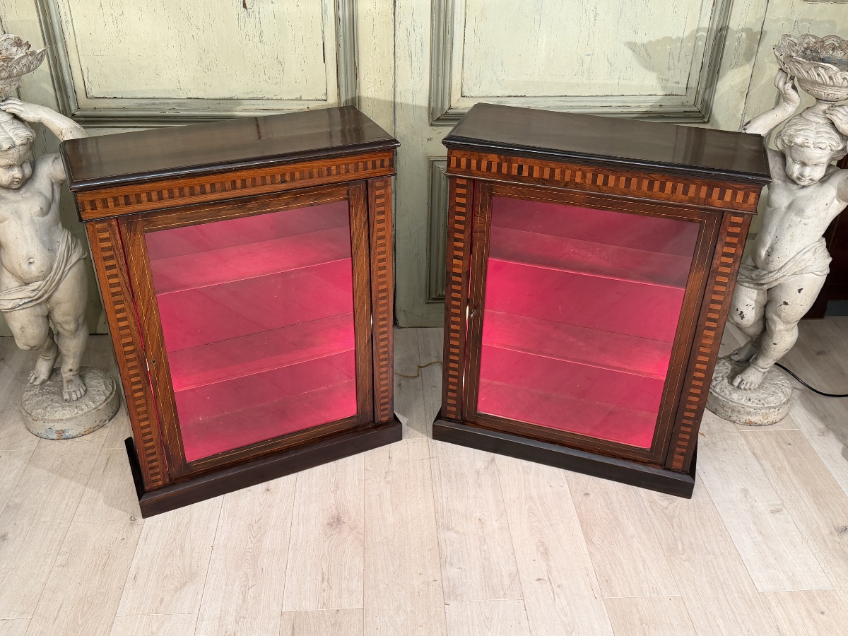 Paire de Vitrines de Collectionneur en Palissandre, Epoque Napoléon III-photo-2