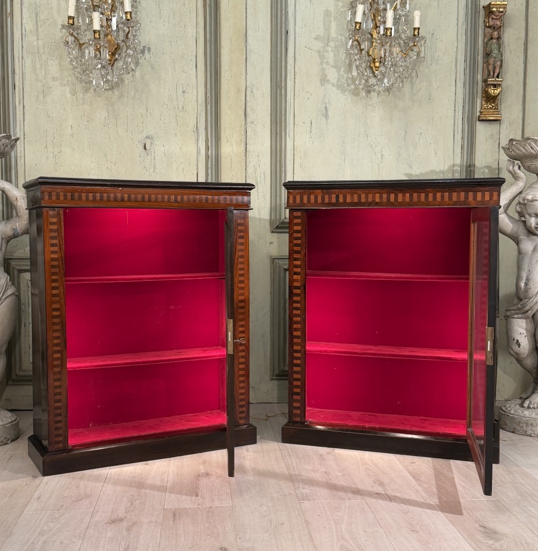 Paire de Vitrines de Collectionneur en Palissandre, Epoque Napoléon III-photo-4