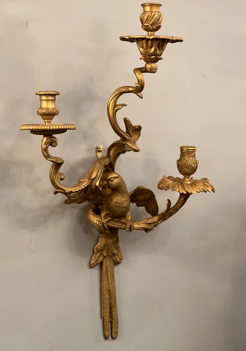 Maison Bagues, Exceptional Pair Of Gilt Bronze And Chiseled Parrot Sconces-photo-2