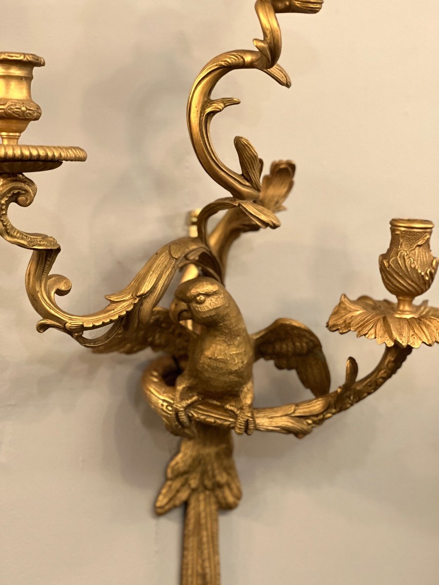 Maison Bagues, Exceptional Pair Of Gilt Bronze And Chiseled Parrot Sconces-photo-3