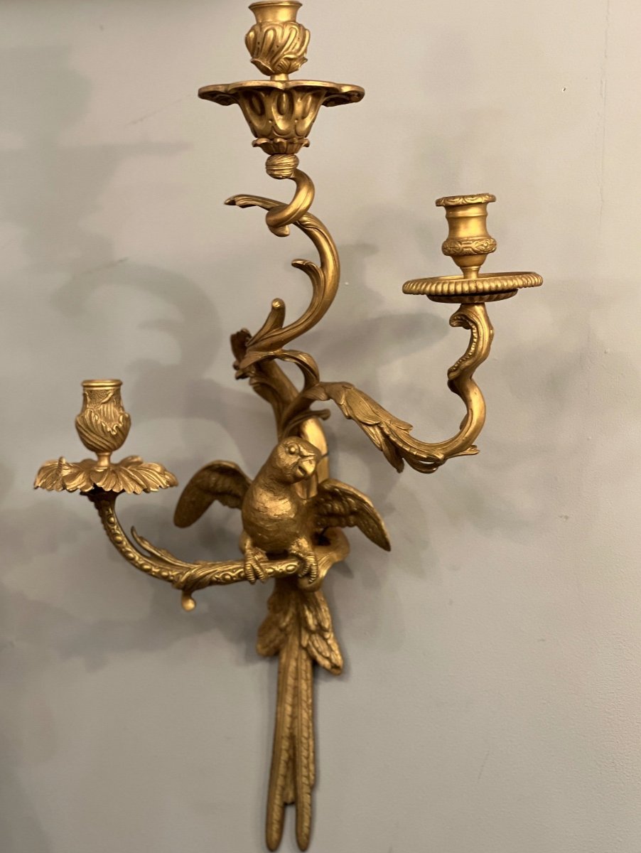 Maison Bagues, Exceptional Pair Of Gilt Bronze And Chiseled Parrot Sconces-photo-4