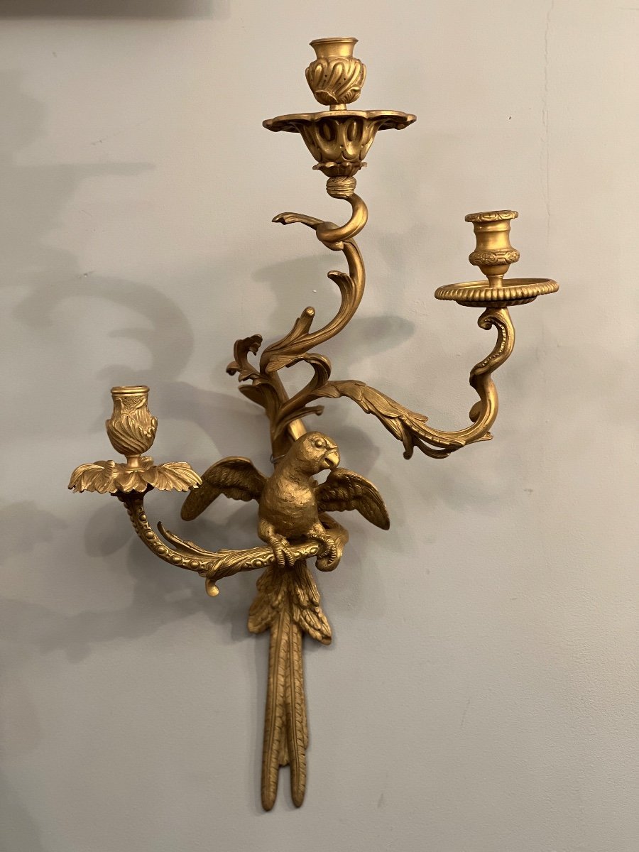 Maison Bagues, Exceptional Pair Of Gilt Bronze And Chiseled Parrot Sconces-photo-5