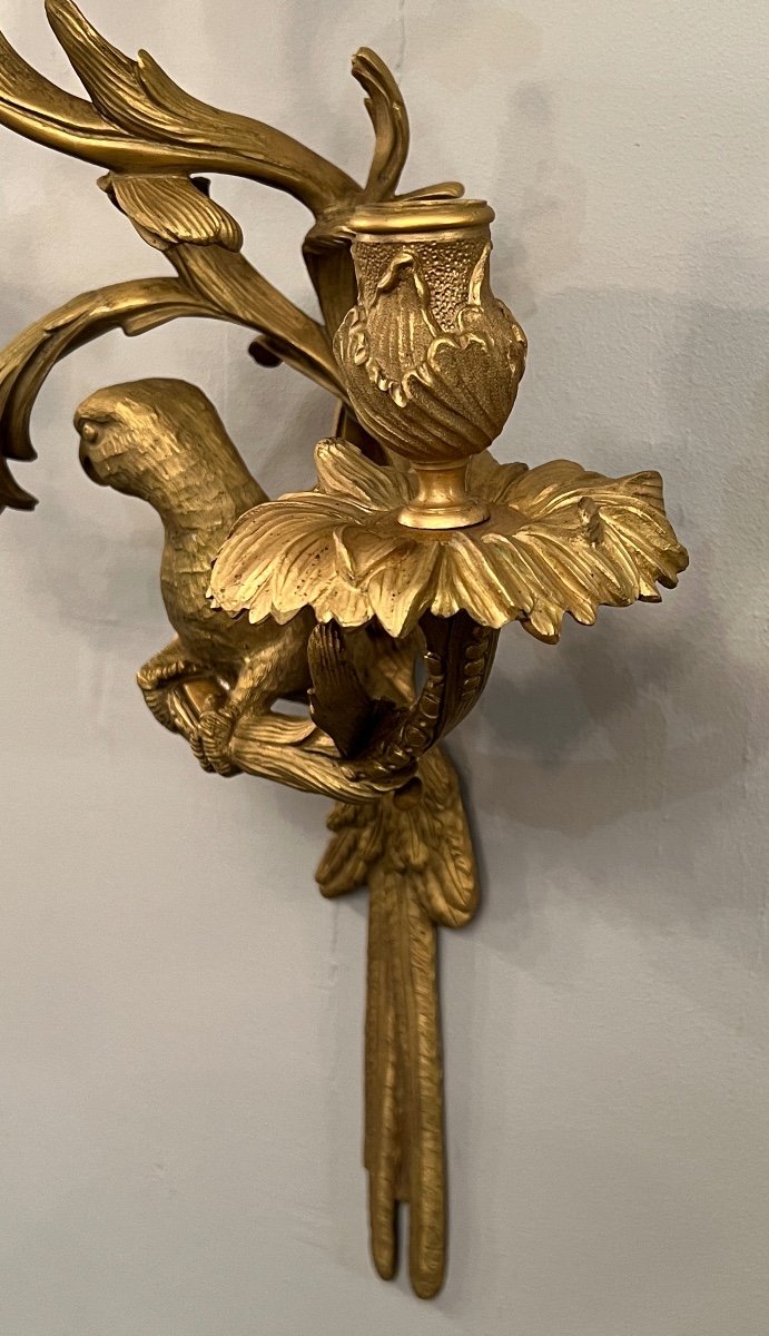 Maison Bagues, Exceptional Pair Of Gilt Bronze And Chiseled Parrot Sconces-photo-7