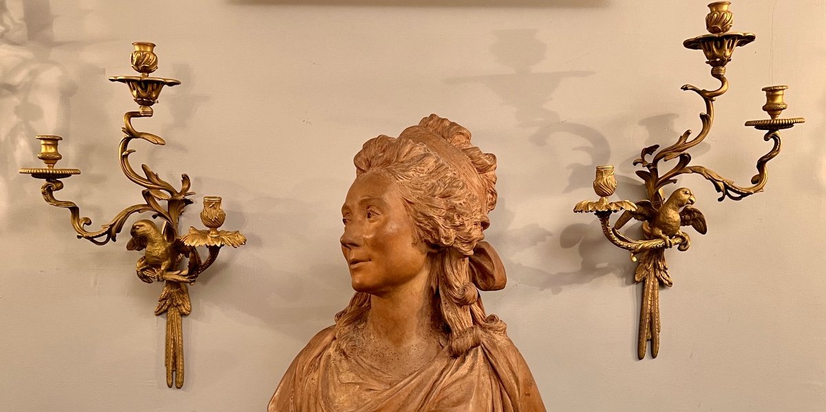 Maison Bagues, Exceptional Pair Of Gilt Bronze And Chiseled Parrot Sconces-photo-3