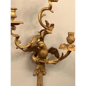 Maison Bagues, Exceptional Pair Of Gilt Bronze And Chiseled Parrot Sconces