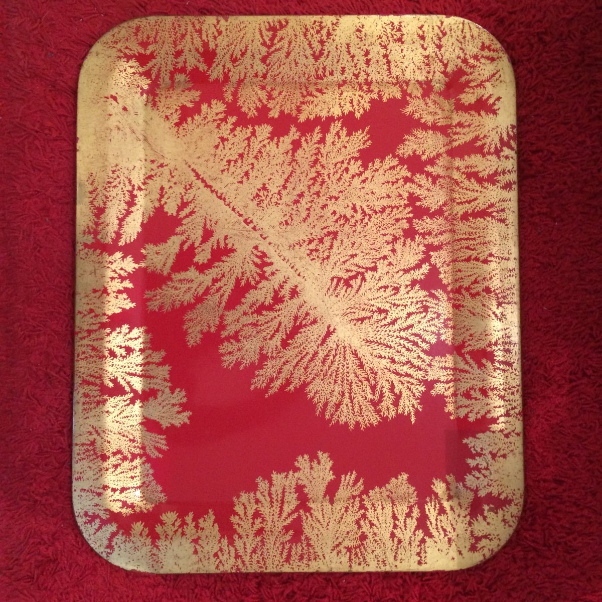 Fornasetti Piero - Metal Tray - Red And Gold Fern Leaf-photo-2