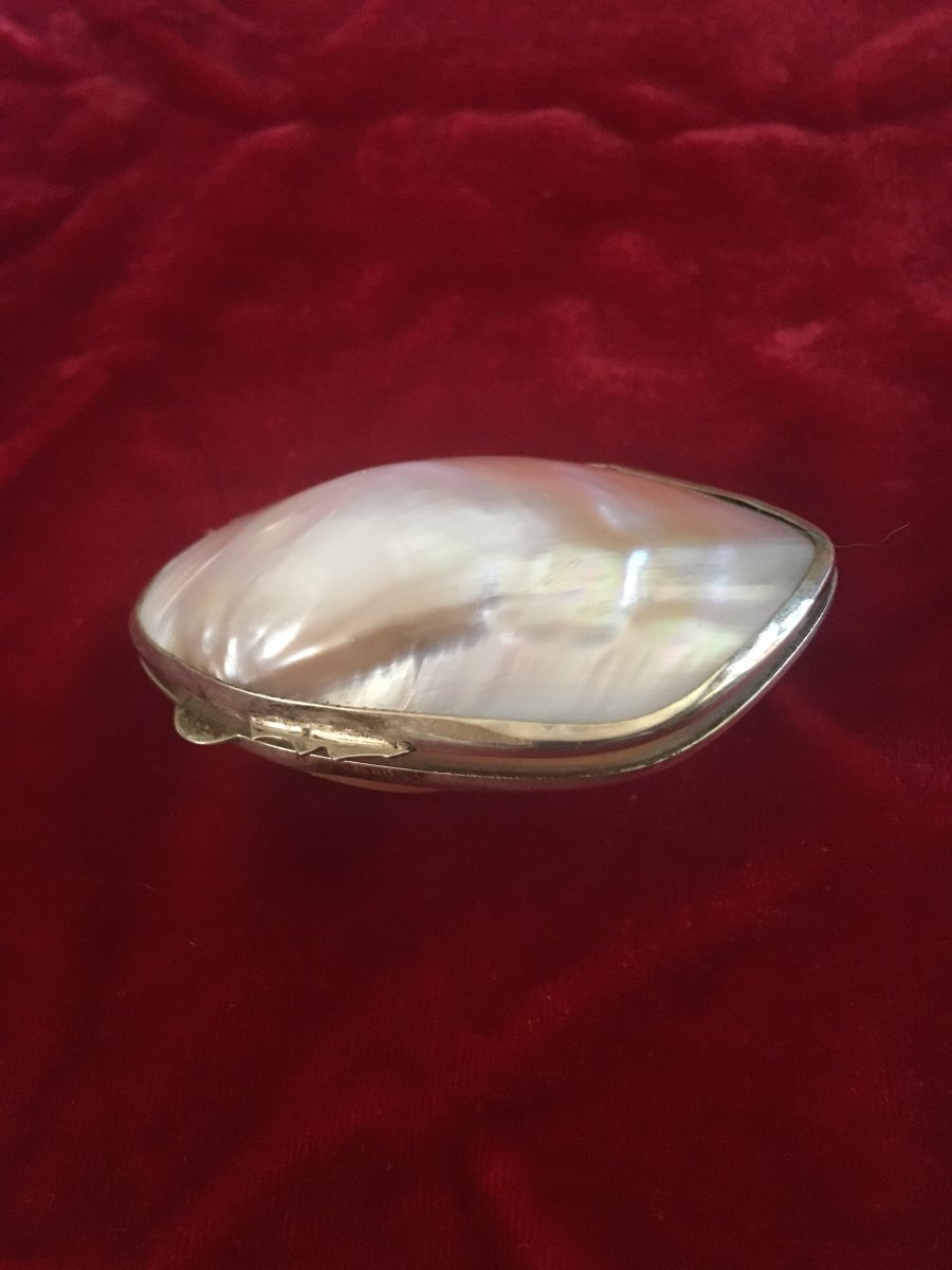 Shell Box With Silver Strapping. German Work