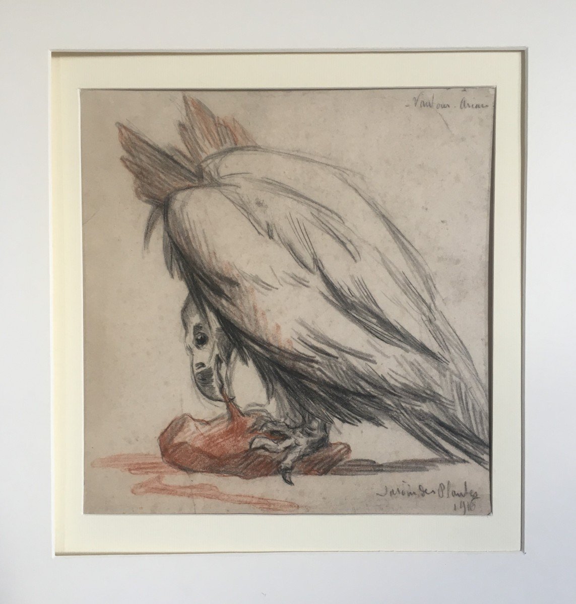 Charcoal Animal Drawing -photo-2