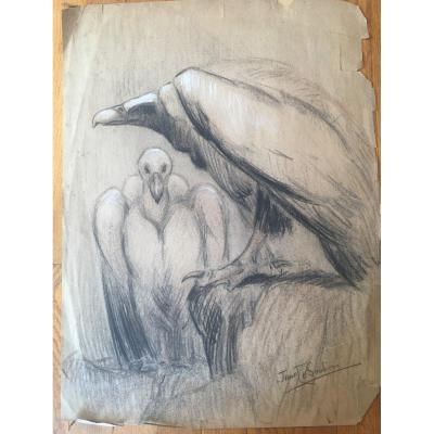 Charcoal And Pastel Drawing Of Two Raptors By Jane Le Sourdier