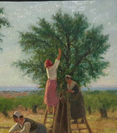 Théo Mayan (1860-1936),  La Cueillette Des Olives.-photo-2