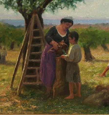 Théo Mayan (1860-1936),  La Cueillette Des Olives.-photo-3