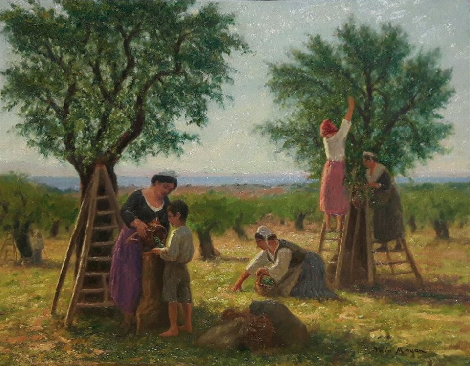 Théo Mayan (1860-1936),  La Cueillette Des Olives.-photo-4