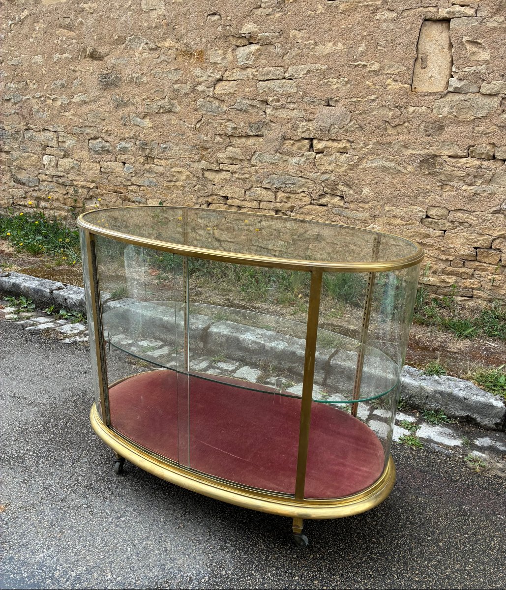 Antique Display Case, Luxury Store Counter, Collector's Display Case, Living Room Display Case.-photo-4