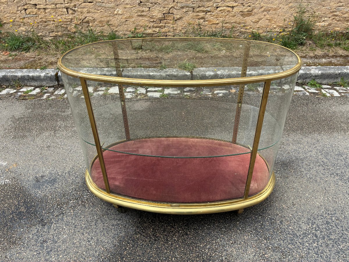 Antique Display Case, Luxury Store Counter, Collector's Display Case, Living Room Display Case.-photo-4