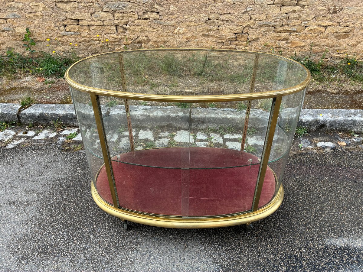 Antique Display Case, Luxury Store Counter, Collector's Display Case, Living Room Display Case.