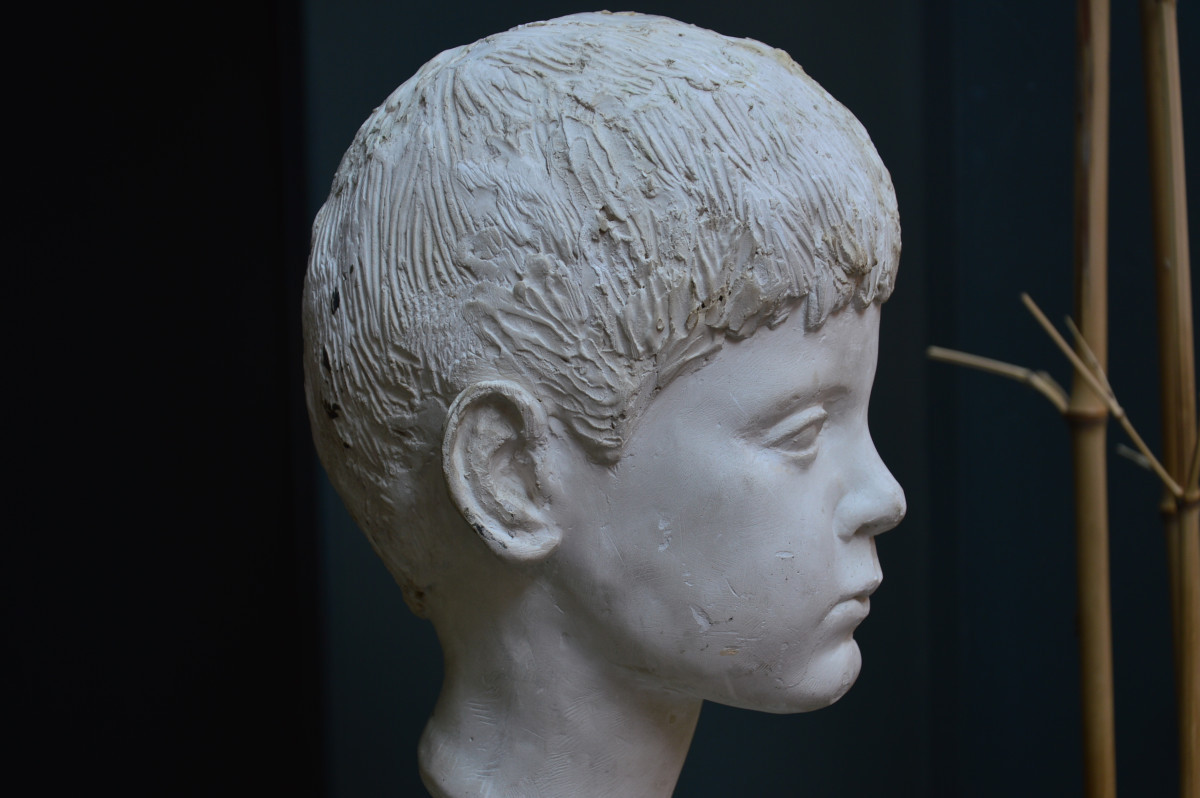 Bust Of A Young Man-photo-6