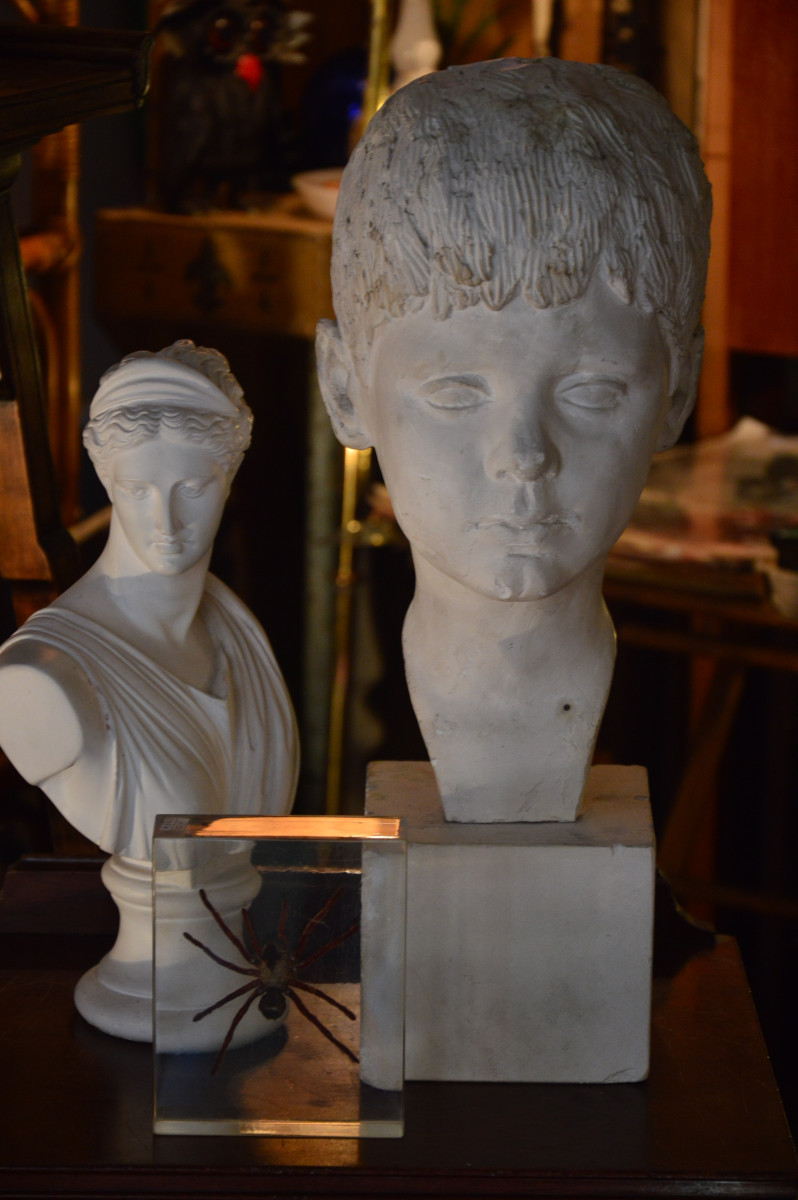 Bust Of A Young Man-photo-8