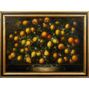 Still Life With Oranges And Lemons From Tuscany, Eighteenth Century Circle Of Bartolomeo Bimbi