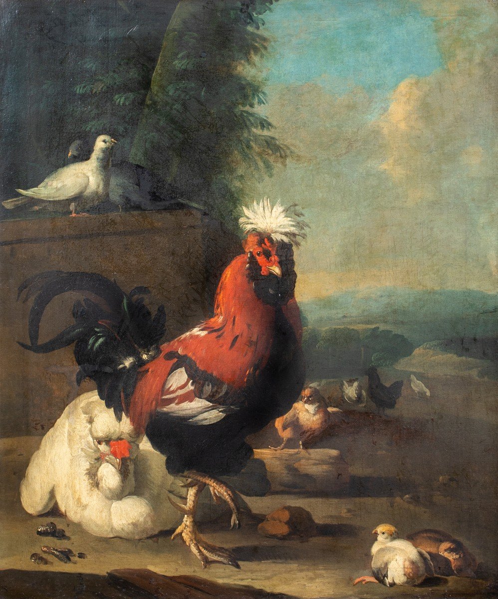 Garden Poultry, Chicks, Hens A Rooster And A Pigeon, Melchior d'Hondecoeter-photo-2