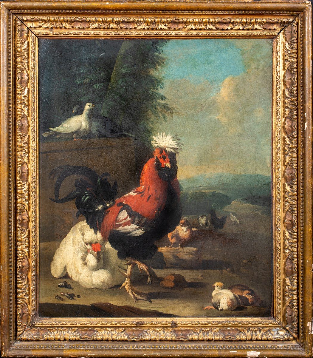 Garden Poultry, Chicks, Hens A Rooster And A Pigeon, Melchior d'Hondecoeter