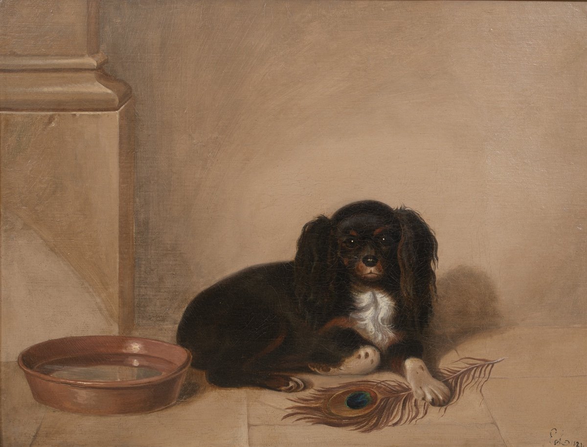 Portrait Of King Charles Spaniel, 19th Century Inscribed To Sir Edward Landseer (1802-1873) -photo-2