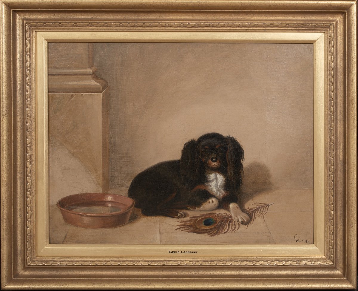 Portrait Of King Charles Spaniel, 19th Century Inscribed To Sir Edward Landseer (1802-1873) 