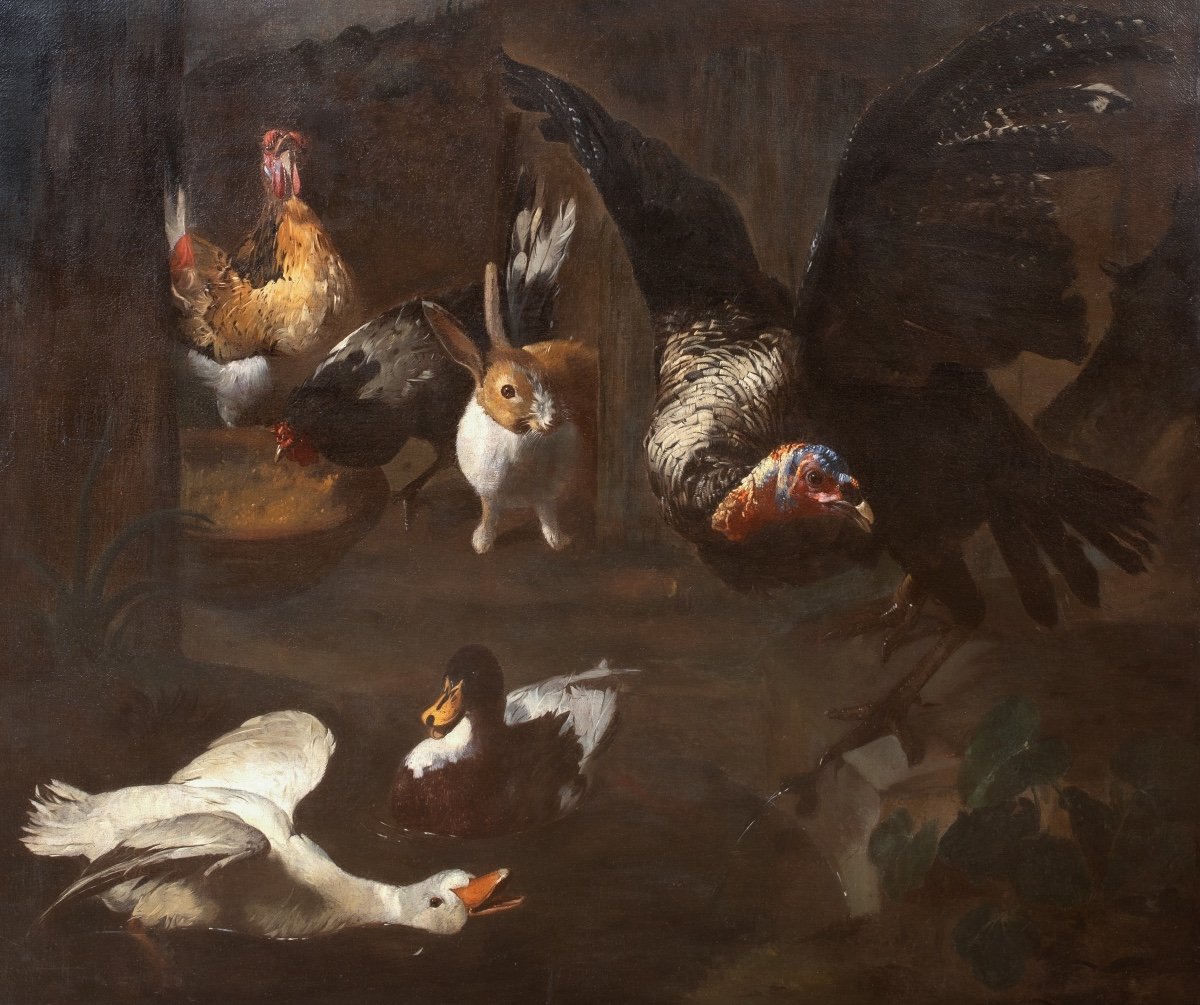 Study Of Farm Birds, 17th Century Attributed To Melchior De Hondecoeter (1636-1695)  -photo-2
