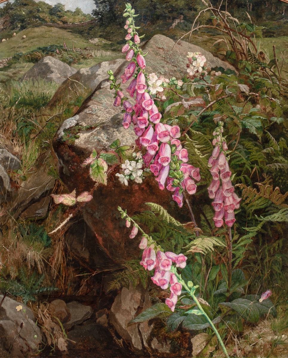 Still Life With Foxgloves And Ferns, 19th Century By Martha Darley Mutrie (1824-1885)-photo-2