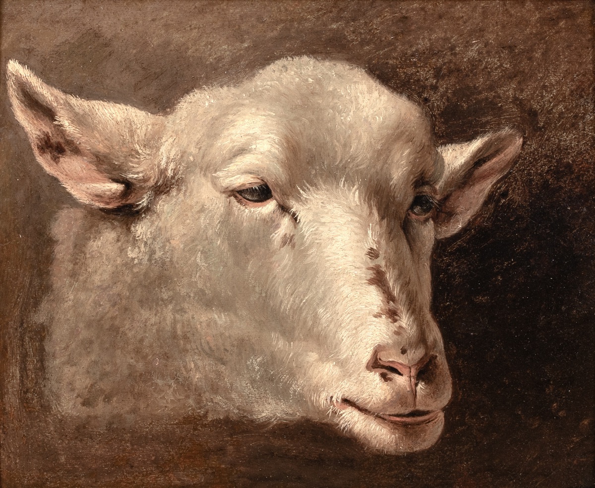 Étude d'une tête d'agneau / mouton, XIXe siècle  Attribué à Rosa BONHEUR (1822-1899)  -photo-2